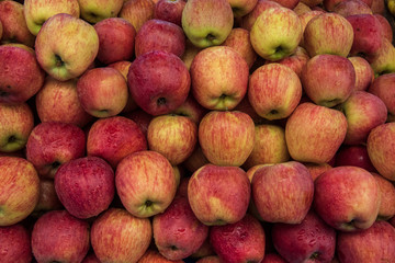 pile of red apples on the stand 