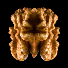 Wall Mural - Macro photo of kernel walnut isolated on a black background with clipping path