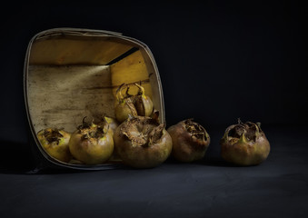 Sticker - Medlars in an old punnet