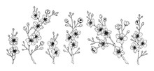 Set Of Spring Cherry Flowers. Vector Illustration In Sketch Style Isolated On White. Beautiful Tree Branches In Bloom.