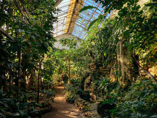 moody photo of old botanical garden. the sun rays shining through the dusty glass roof. various ever