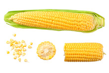 Fresh Corn On Cob Isolated On White Background