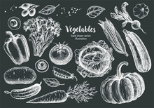 Vegetables Collection With Sketch Or Hand Drawn Style On Blackboard Background