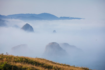 Canvas Print - Oregon coast