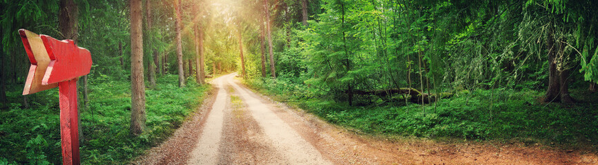 Lahemaa national park forest panorama