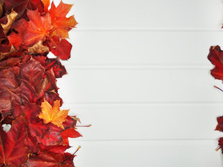 Wall Mural - autumn forest with maple trees on wooden background