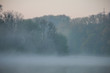 Sunrise on a foggy morning at Swamp