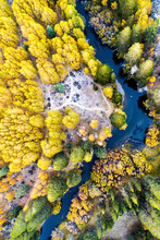 A Bird's-eye View Of Fall Color Along Rush Creek On The June Lake Loop Near The Town Of June Lake, California.