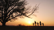 © alex_marina - Silhouettes of happy family walking together in the meadow during sunset