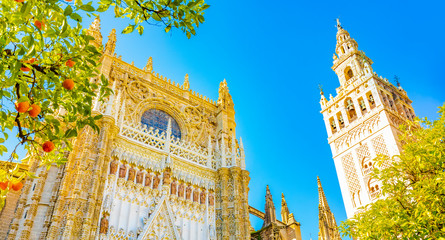 Fototapete - Sevilla Cathedral and Giralda tower, Spain