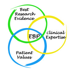 Components of evidence based practice