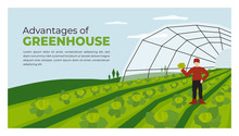 Vector Illustration Of Advantages Of Greenhouse. Farmer With Vegetables In Hand. Farming Plant Cultivation. Design For Agriculture, Horticulture Or Agronomy. Template For Banner, Poster, Flyer, Layout