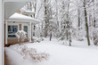 Home in Snowy Woods in Winter