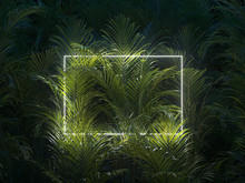 Minimal Nature Concept. Creative Layout Made Of Tropical Leaves With Neon Frame. Flat Lay.