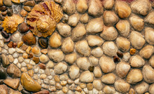 Stones, Pebbles And Shells Of Different Sizes In A Pattern