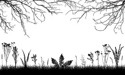 silhouette of grassland, wild weeds and grass, bare branches trees. vector illustration. applied cli