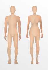 human 3d men and women,vector on white background.