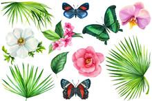 Set Of Tropical Flowers, Butterflies And Palm Leaves, On An Isolated White Background, Watercolor Painting, Botanical Illustration, Anemone, Orchid, Camellia, Weigela