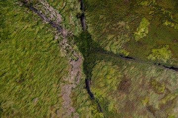 Wall Mural - Aerial photography of Cape Cod`s awesome marshlands and pure wilderness. The picture shows green environment and an infinite diversity of the nature.