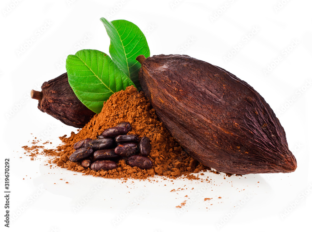 Cocoa pods, cocoa beans and cacao powder with leaves isolated on a white background. - obrazy, fototapety, plakaty 