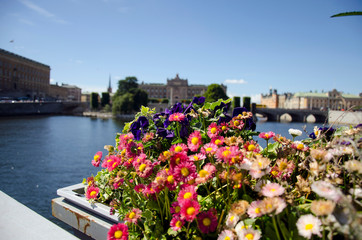 Wall Mural - Flowers on the bridge during spring. Stockholm, Sweden. View of the Stockholm as background