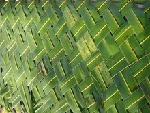 Close Front Shot Of Fresh Coconut Leaves Woven Into A Mat