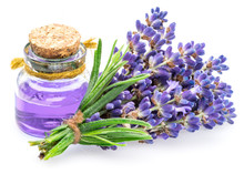 Bunch Of Lavandula And Lavender Essential Oil On White Background.