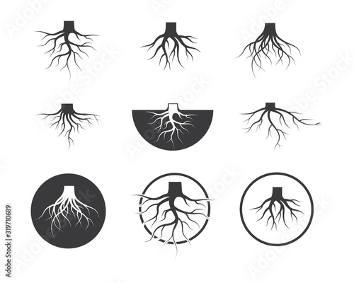 Cuadros en Lienzo tree roots vector icon illustration design