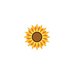 Wall Mural - Vector illustration icon of beautiful sunflower with white background
