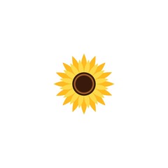 Wall Mural - Vector illustration icon of beautiful sunflower with white background
