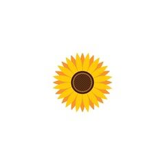 Wall Mural - Vector illustration icon of beautiful sunflower with white background