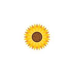Wall Mural - Vector illustration icon of beautiful sunflower with white background