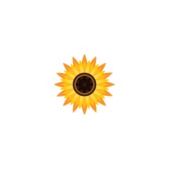 Wall Mural - Vector illustration icon of beautiful sunflower with white background