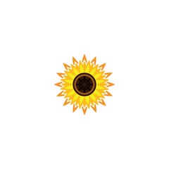 Wall Mural - Vector illustration icon of beautiful sunflower with white background