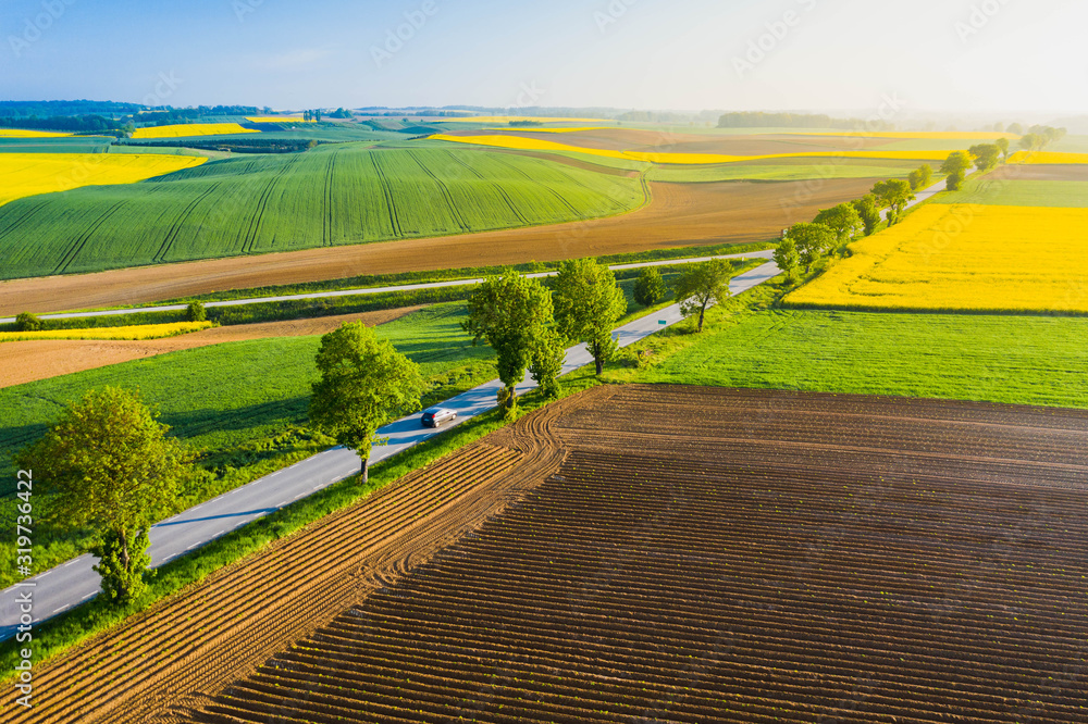 Spring landscape of farmland in Poland. - obrazy, fototapety, plakaty 