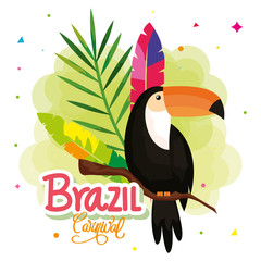 Poster - poster of carnival brazil with toucan and decoration