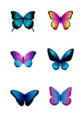 Set of different colored butterflies. 