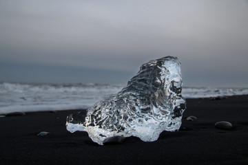 Wall Mural - Ice chunks washed up on a black sand beach