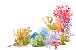 Reef with colorful corals , sponge, anemones, starfish. Copy space for design, hand drawn watercolor illustration.