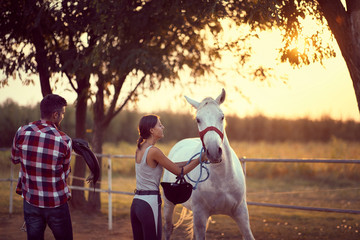 Wall Mural - Man preparing to mount a saddle on the back of the horse. Training  on countryside, sunset golden hour. Freedom nature concept.