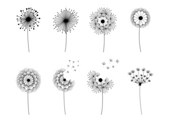 Wall Mural - dandelion set. doodle hand drawn dandelions monstera isolated vector silhouettes, summer botanical f