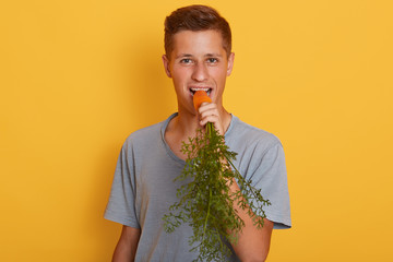 Close up portrait of young active Caucasian man biting carrot isolated over yellow background, handsome guy wearing gray t shirt, male looking directly at camera.Healthy eating habits concept.