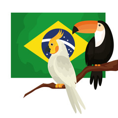 Poster - flag of brazil with parrot and toucan isolated icon