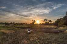 Trationelle Mokoro Boote Im Okavango Delta, Botswana
