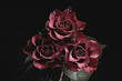 Beautiful roses on black background. Floral card design with dark vintage effect