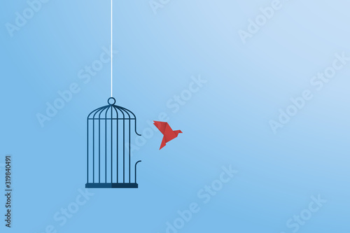 Photographie Flying bird and cage