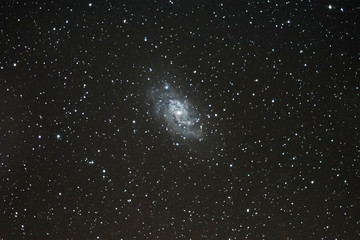 Wall Mural - A view of Triangulum Galaxy (M33) and amazing spiral galaxy inside the deep sky at more than 2 billion light years away. We can see part of the arms of the spiral galaxy and billion of stars
