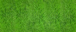 © Günter Albers - Texture of an even green lawn as a background