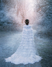 Young Adult Snow Queen Walks Ball. Artistic Snowy Photo Shoot. Winter Landscape. Scene Ice Cold Trees Covered Frozen Branches Frost. Lady Turned Away, Back Train. Creative Royal Clothes Birds Feathers