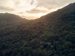 Poster - Sunset over jungle